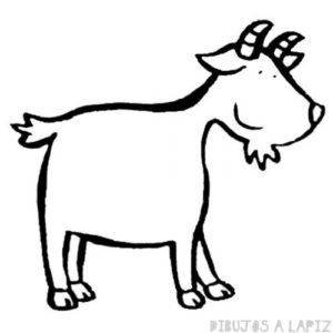 imagenes de cabras para dibujar