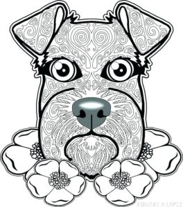 imagenes de cachorros para dibujar