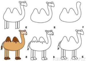 imagenes de camellos para colorear