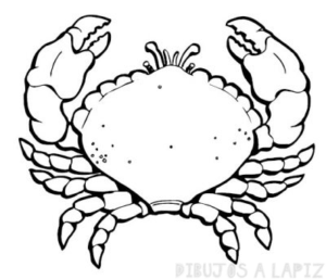 imagenes de cangrejos en caricatura