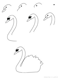 imagenes de cisnes en forma de corazon