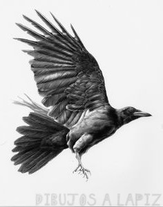 imagenes de cuervos animados