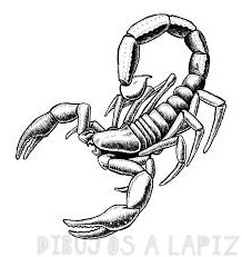 imagenes de escorpiones para dibujar