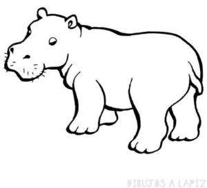 imagenes de hipopotamos en caricatura