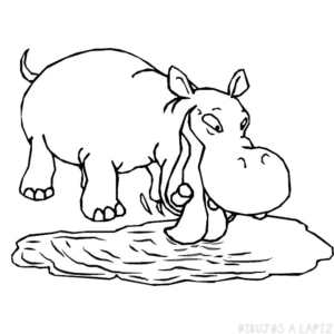 imagenes de hipopotamos para dibujar