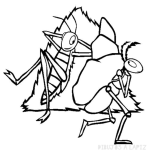 imagenes de hormigas trabajando
