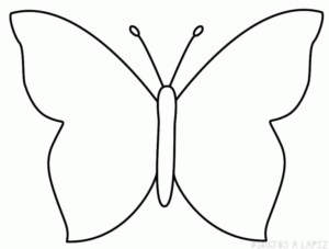 imagenes de mariposas para descargar