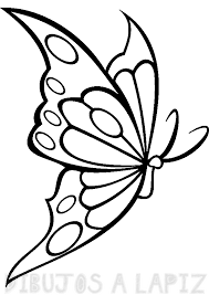 imagenes de mariposas y flores