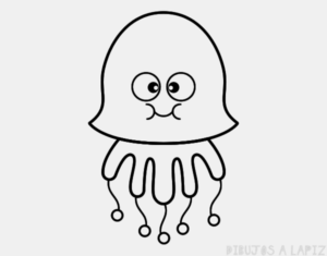 imagenes de medusas de mar