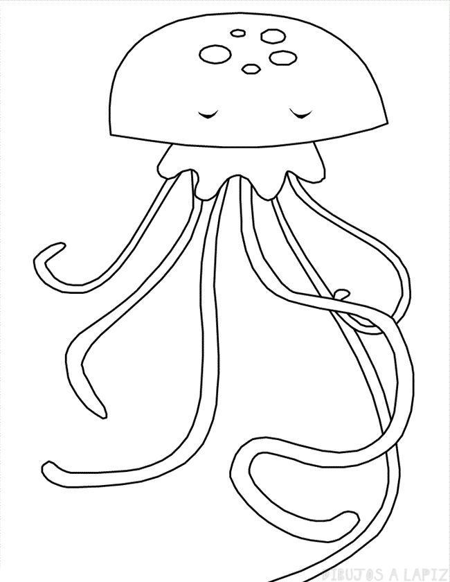 ᐈ Dibujos de Medusas【TOP】Medusas gelatinosas faciles