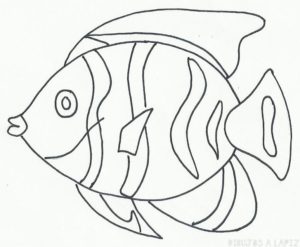 imagenes de peces para colorear