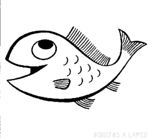 imagenes de pescados