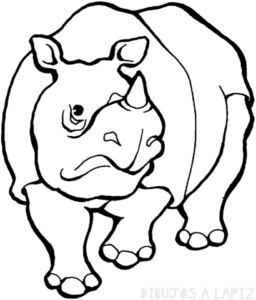 imagenes de rinocerontes para dibujar