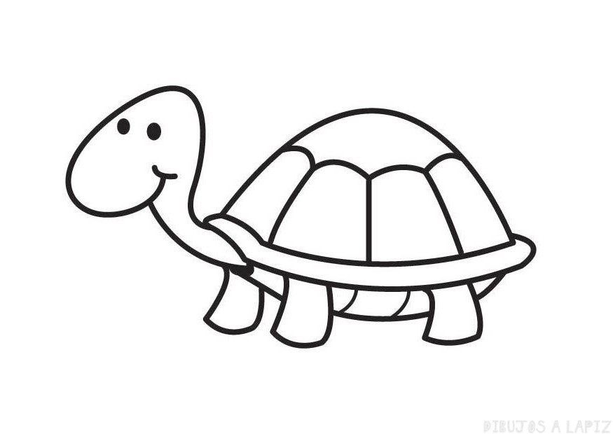 ᐈ Dibujos de Tortugas【TOP】Las Tortugas mas lindas