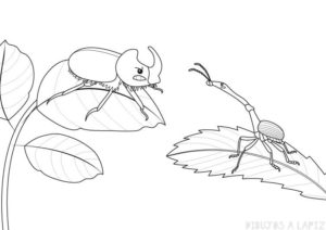 insectos caricatura