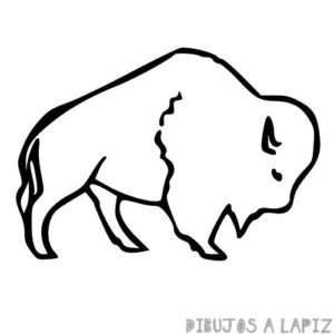 logo de bufalo