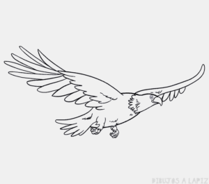 logos de halcones