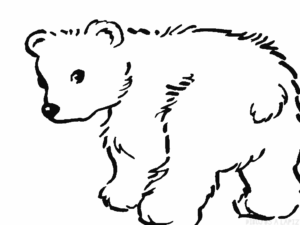 masha y el oso dibujos