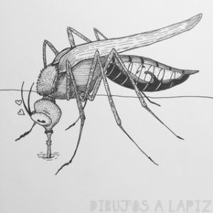 mosquito del dengue sintomas