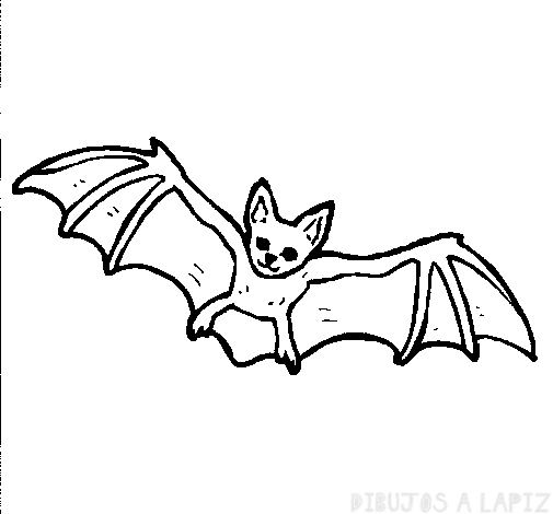 ᐈ Dibujos de Murcielagos【TOP】Murcielagos vampiros animados