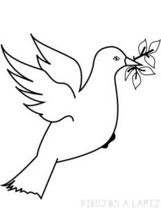 paloma de la paz dibujo