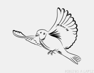 paloma volando dibujo