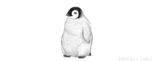 pinguino dibujo para colorear