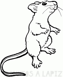 ratoncitos animados