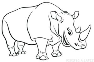 rinoceronte arte