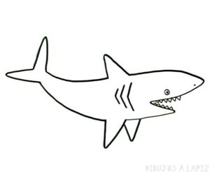 tiburones dibujos