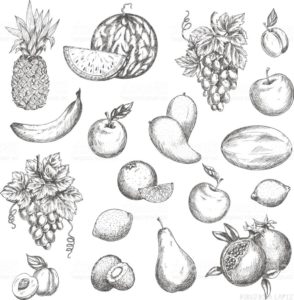 frutas y verduras dibujos