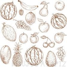 imagenes de frutas para dibujar