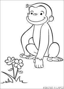 imagenes de monos animados