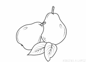 como se dibuja una pera