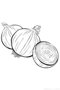 dibujos de verduras para niños scaled