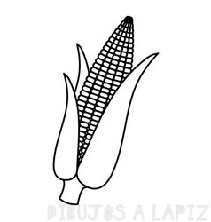 imagenes de maiz para dibujar