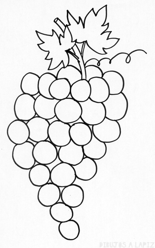 ᐈ Dibujos de Uvas【TOP 30】Viñedo de uva para pintar