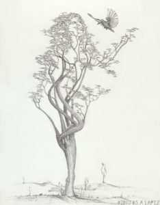 arbol con raices dibujo