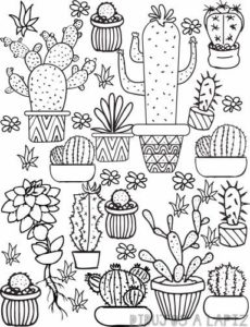 cactus para pintar