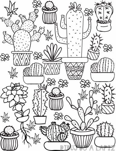 ???? Dibujos de cactus【+30】Fáciles y Gratis