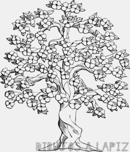 como dibujar un arbol de cerezo a lapiz