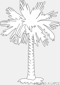 como dibujar una palmera a lapiz