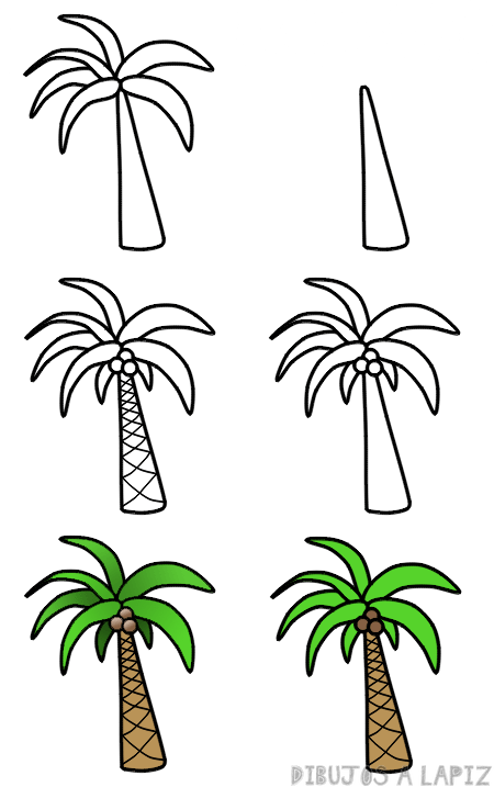🥇 Dibujos de palmeras【+30】Fáciles y Gratis