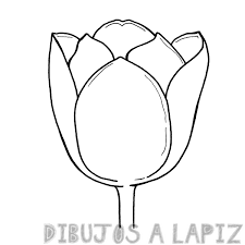 cuadro tulipanes