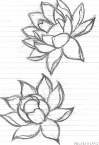 flor de loto logo