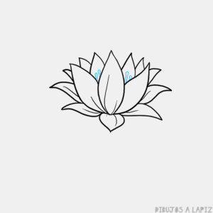 flor de loto pintura