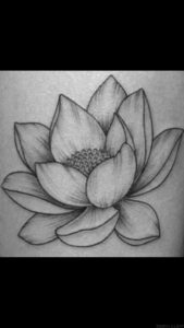 flor de loto png