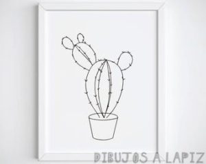 fotos de cactus con flores