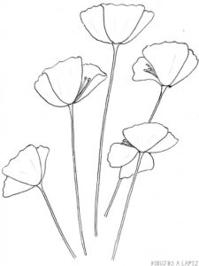 fotos de flores para dibujar
