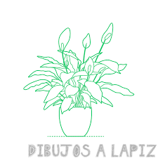 ilustraciones de plantas